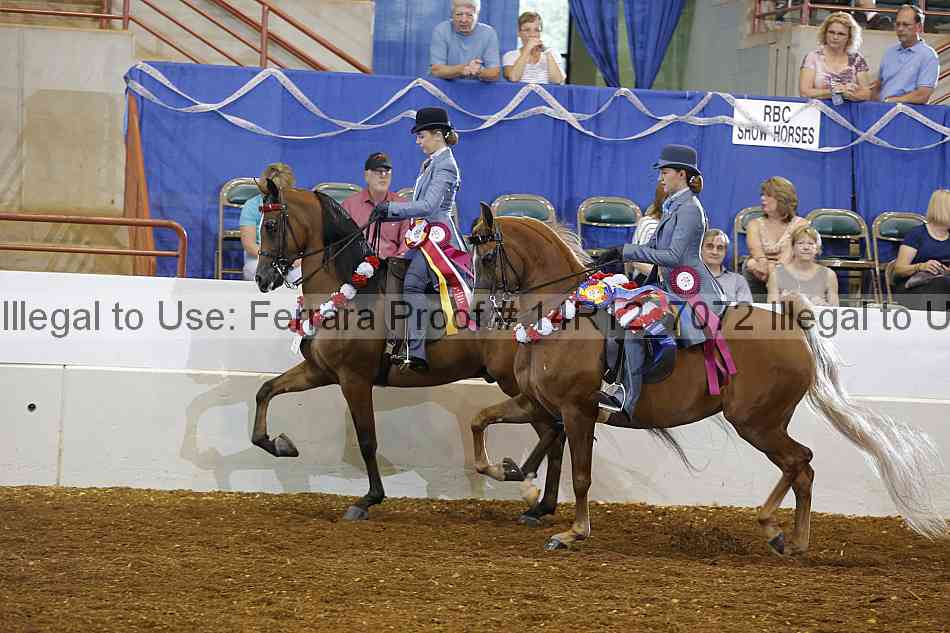 Proof Number 14r12_7072