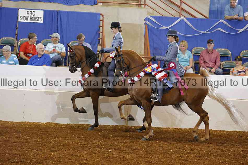 Proof Number 14r12_7073