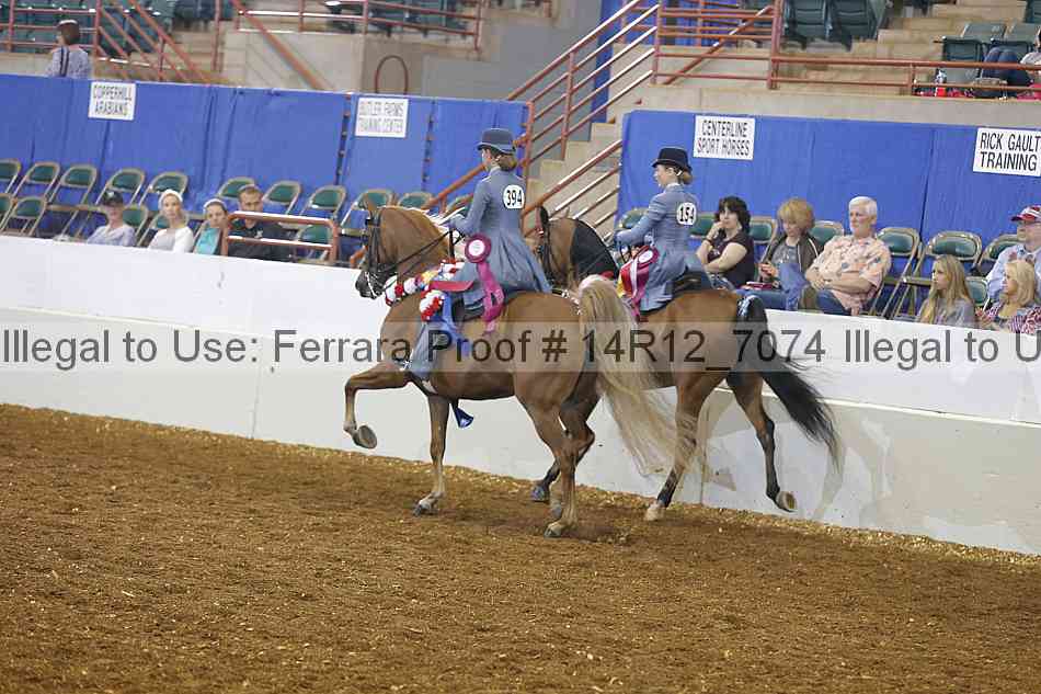 Proof Number 14r12_7074
