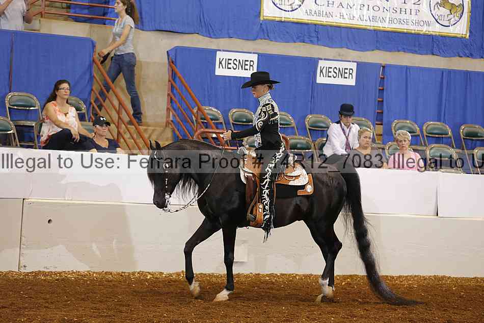 Proof Number 14r12_7083