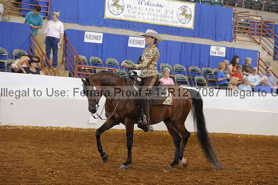 Proof Number 14r12_7087