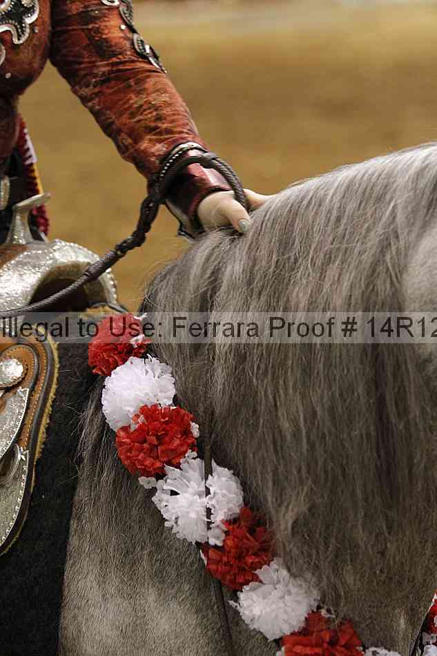 Proof Number 14r12_7134