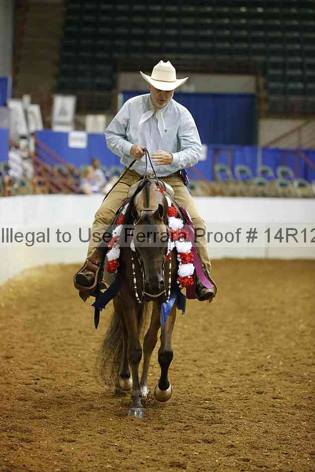 Proof Number 14r12_7167