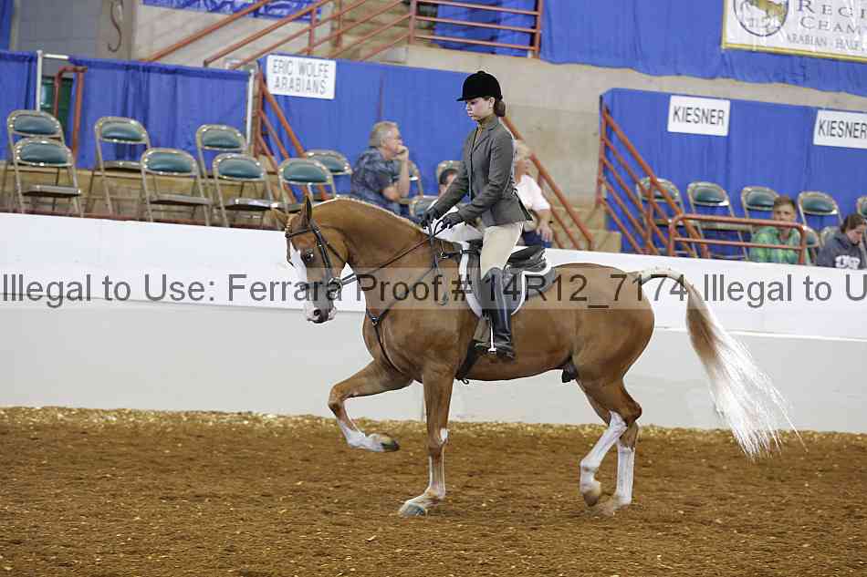 Proof Number 14r12_7174