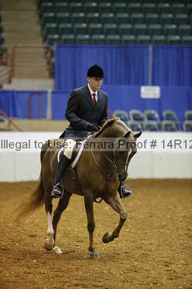 Proof Number 14r12_7175