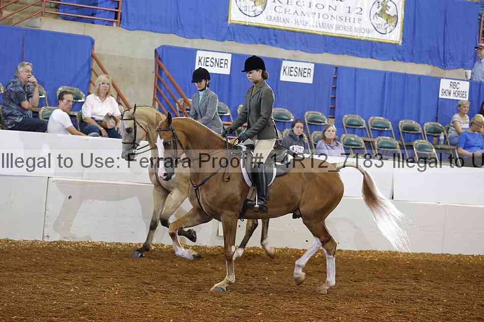 Proof Number 14r12_7183
