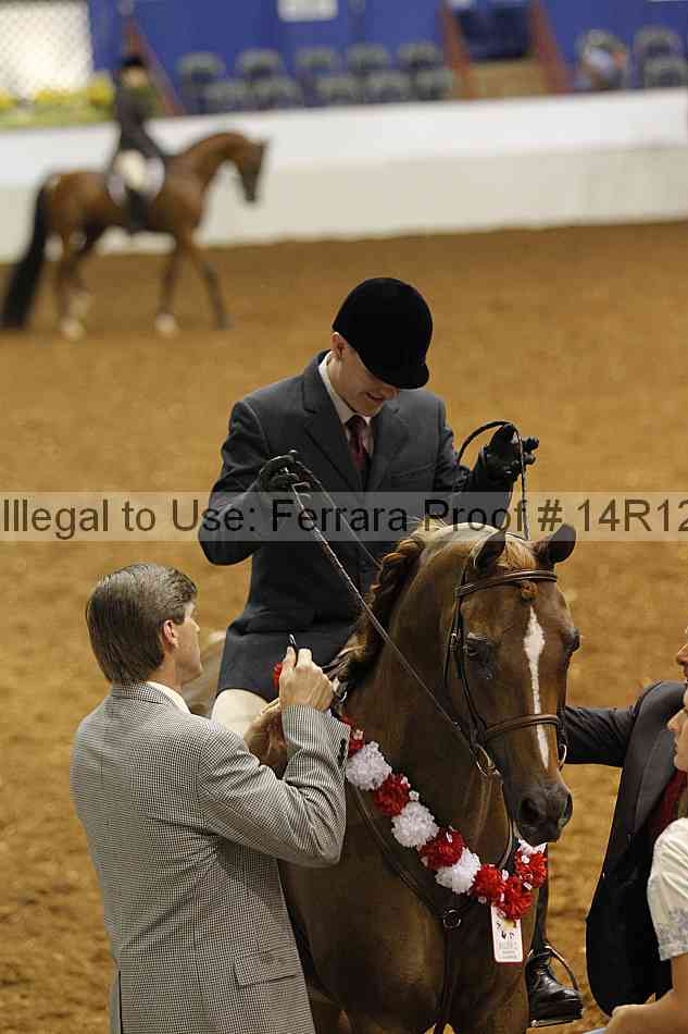 Proof Number 14r12_7189