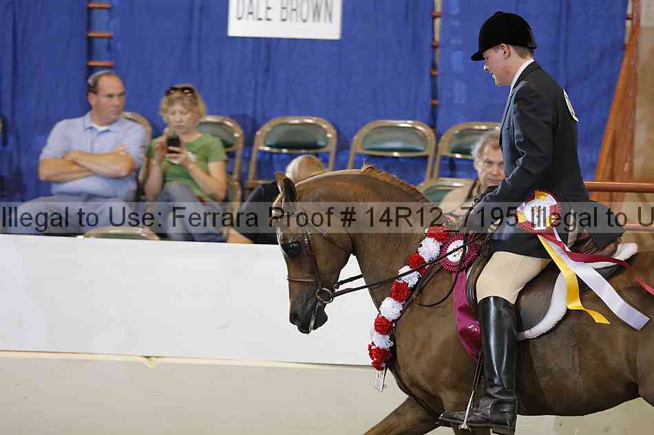 Proof Number 14r12_7195