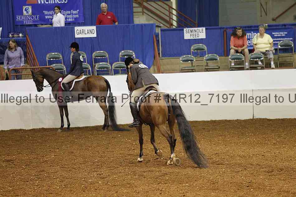 Proof Number 14r12_7197
