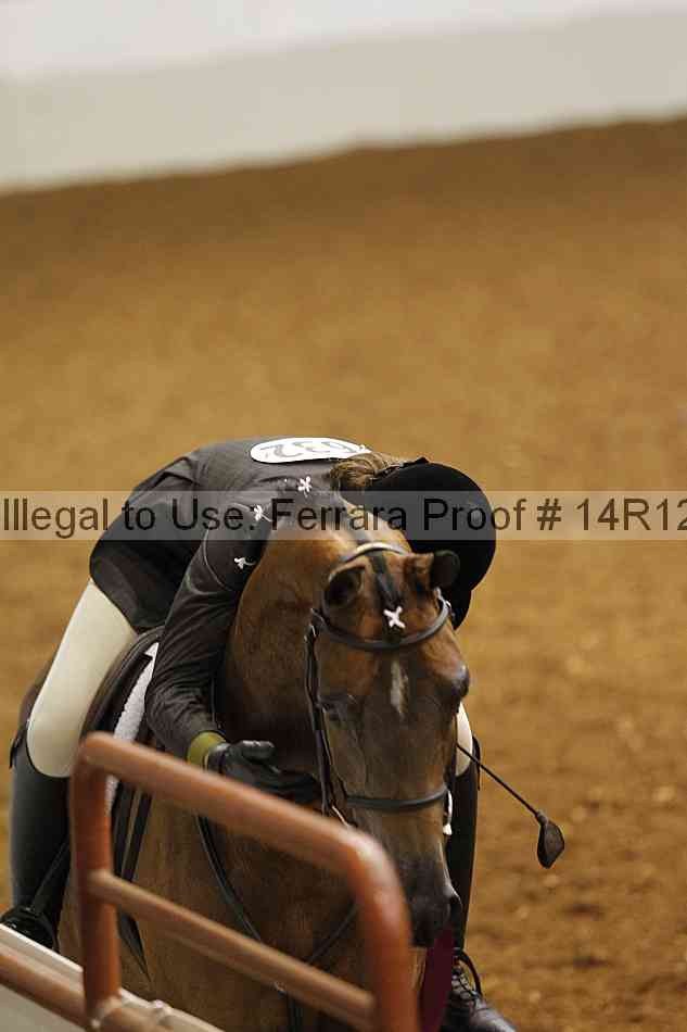 Proof Number 14r12_7198