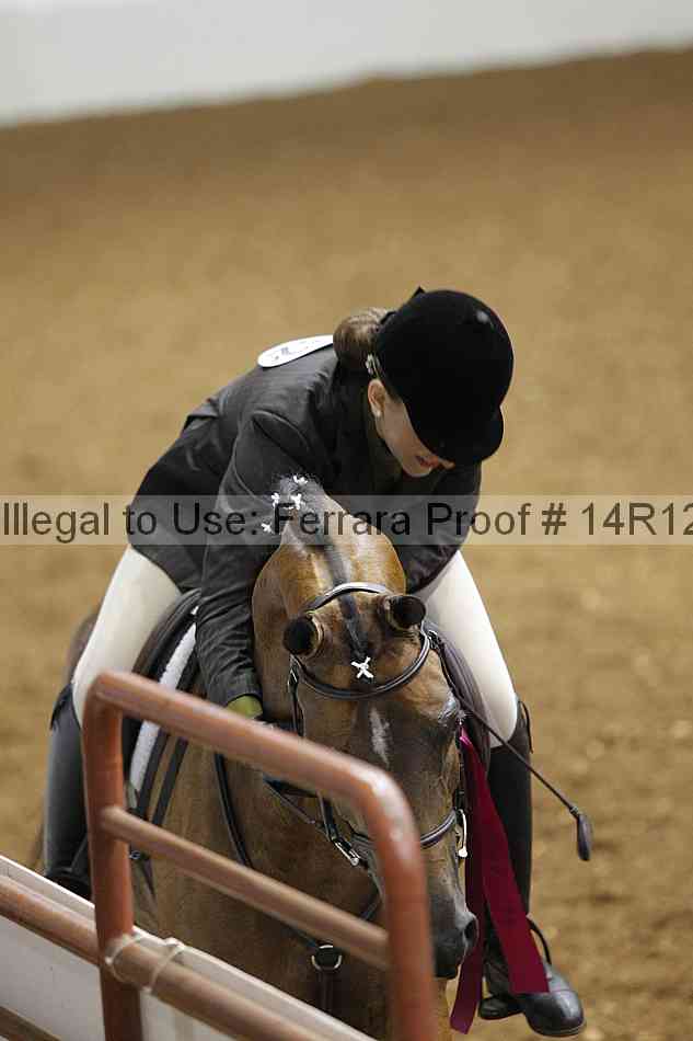 Proof Number 14r12_7199