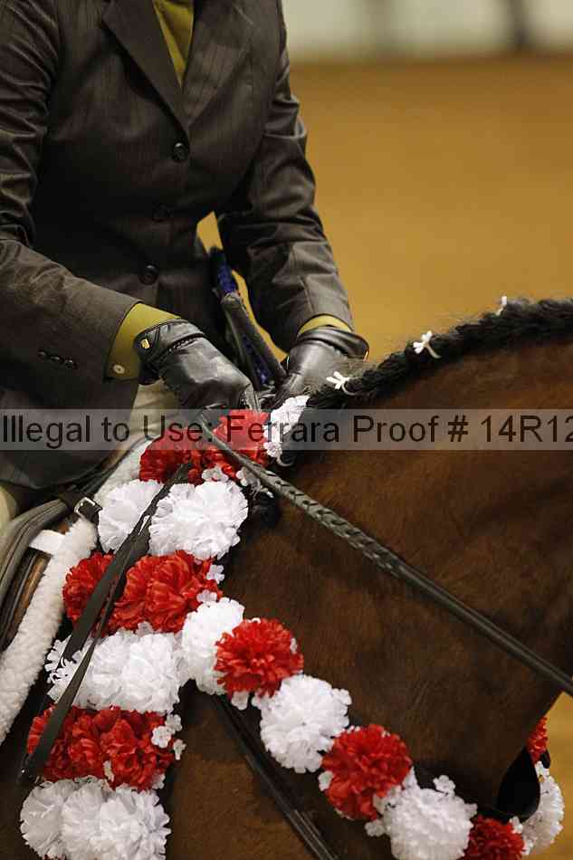 Proof Number 14r12_7205
