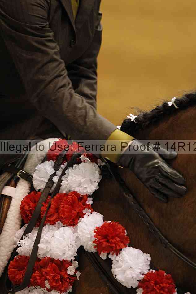 Proof Number 14r12_7206
