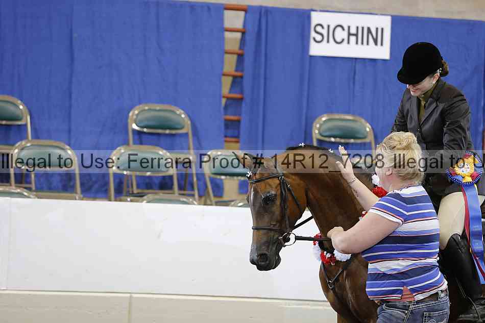Proof Number 14r12_7208