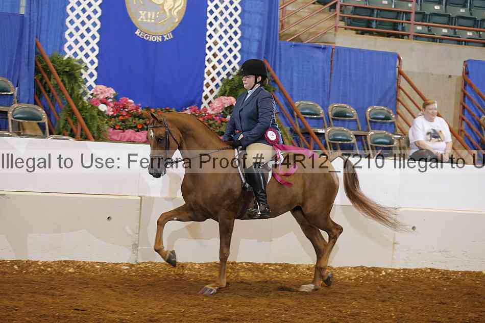 Proof Number 14r12_7210