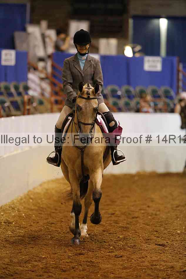 Proof Number 14r12_7216