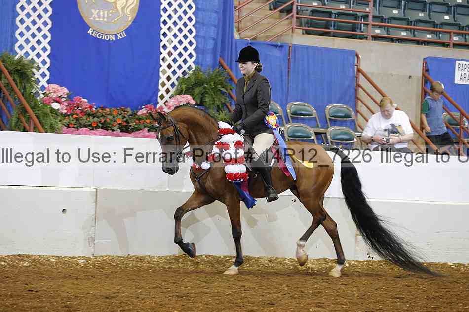 Proof Number 14r12_7226