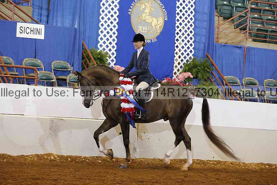 Proof Number 14r12_7304