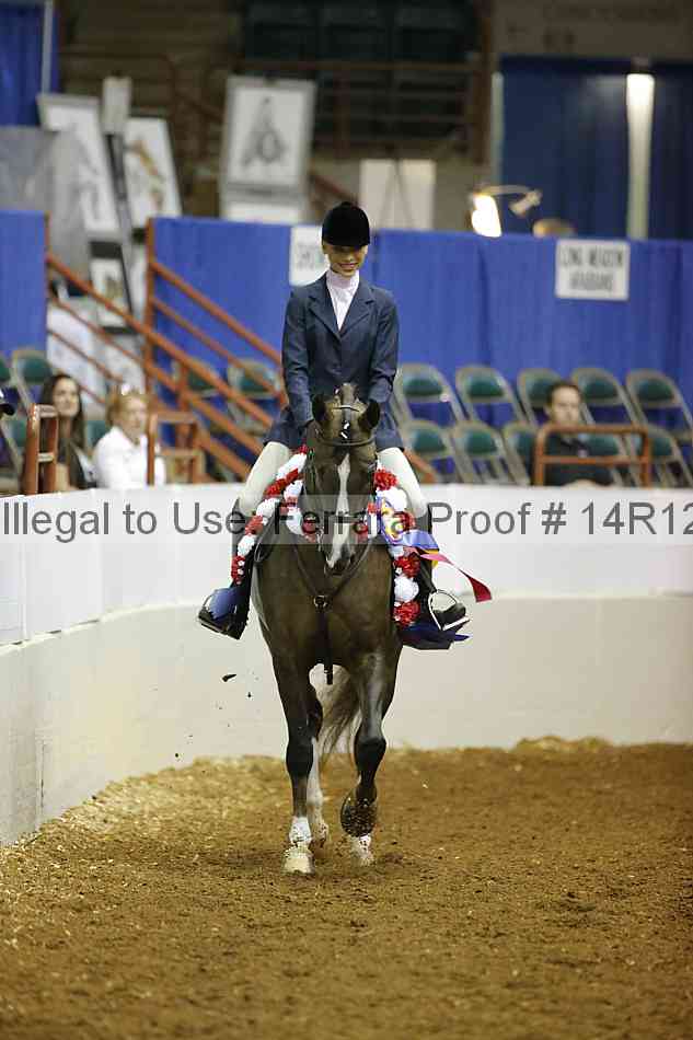 Proof Number 14r12_7305