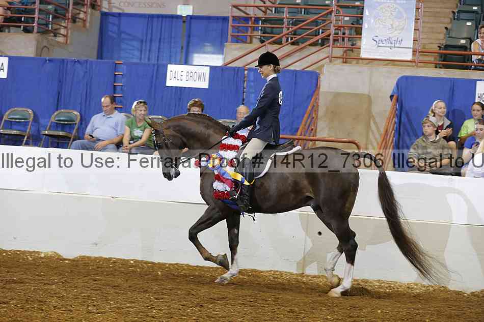 Proof Number 14r12_7306
