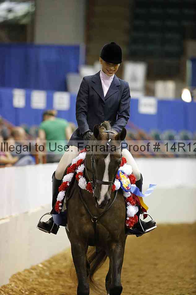 Proof Number 14r12_7308