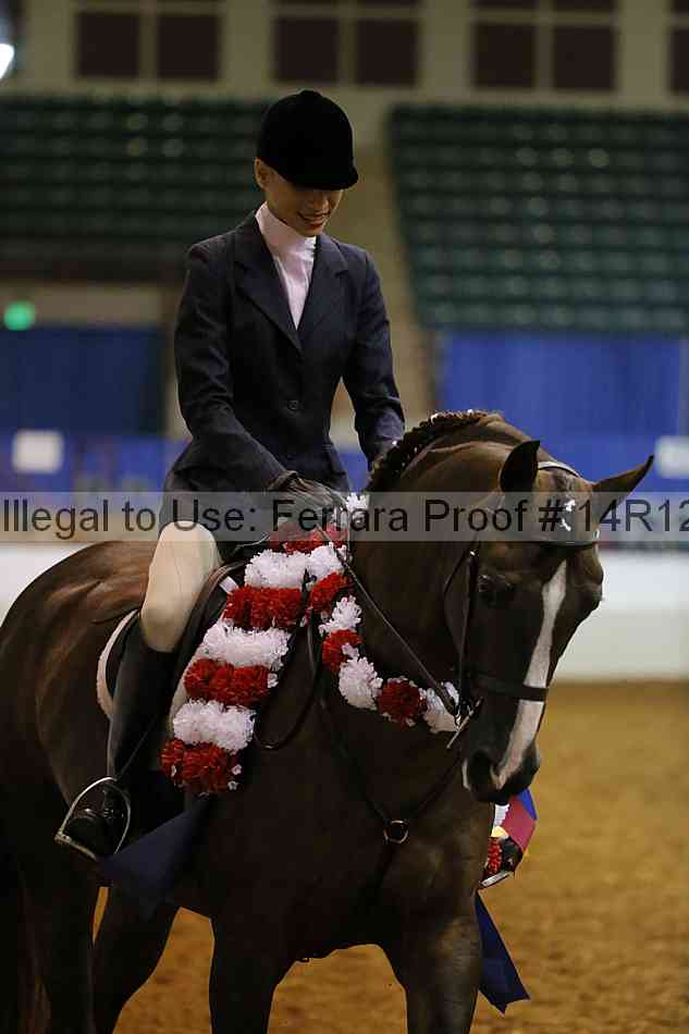 Proof Number 14r12_7310