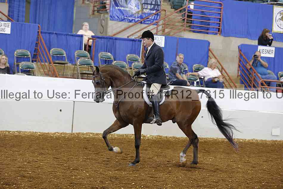 Proof Number 14r12_7315