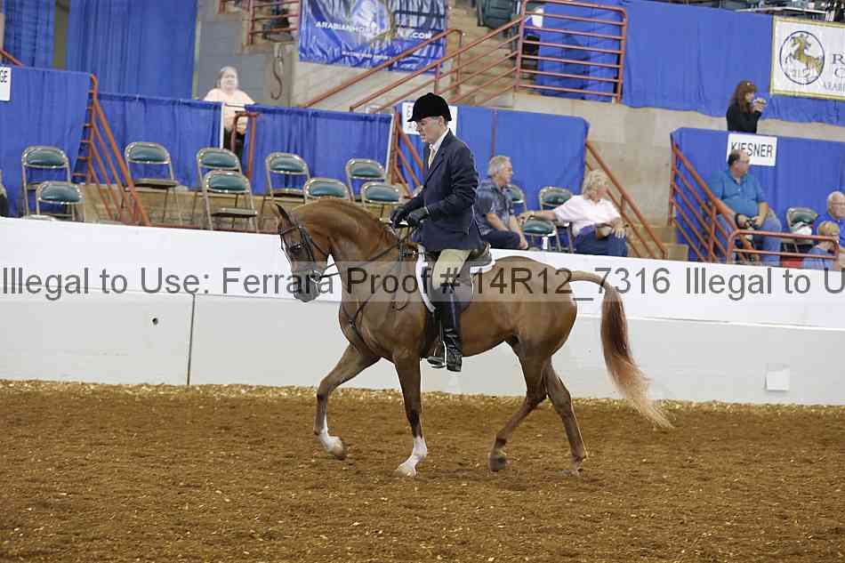 Proof Number 14r12_7316