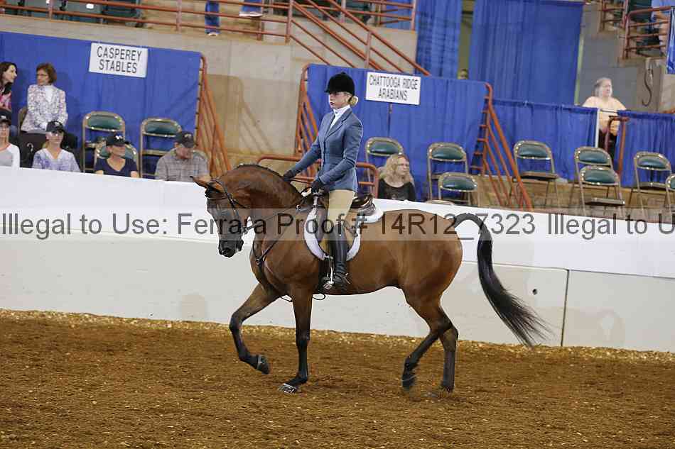 Proof Number 14r12_7323