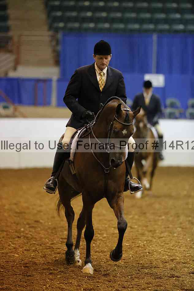 Proof Number 14r12_7326