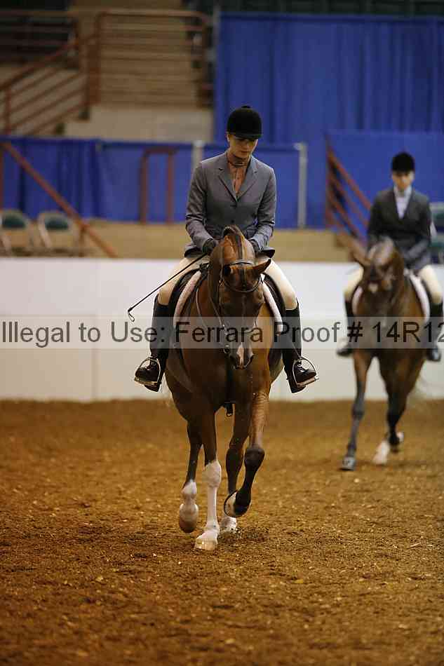 Proof Number 14r12_7329