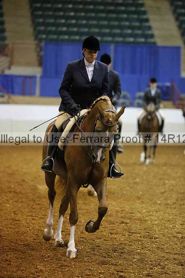 Proof Number 14r12_7339