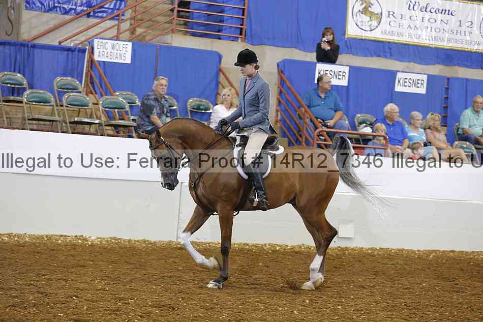 Proof Number 14r12_7346