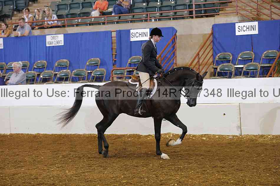 Proof Number 14r12_7348