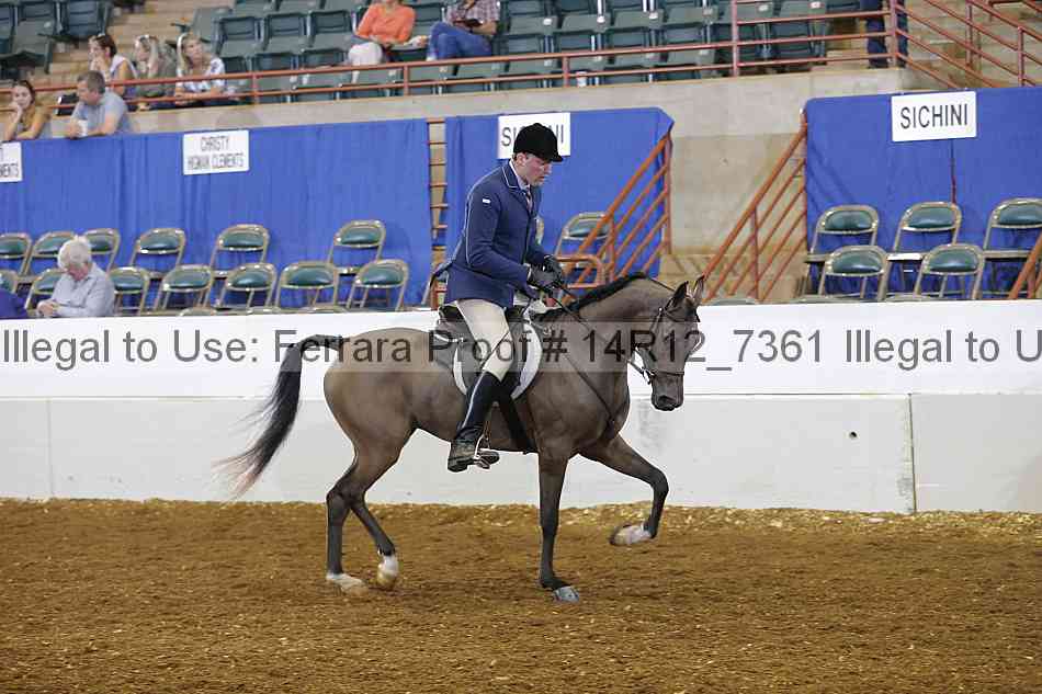 Proof Number 14r12_7361