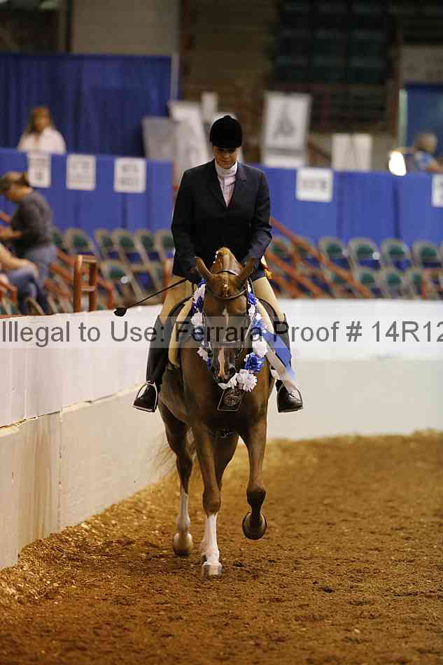 Proof Number 14r12_7371