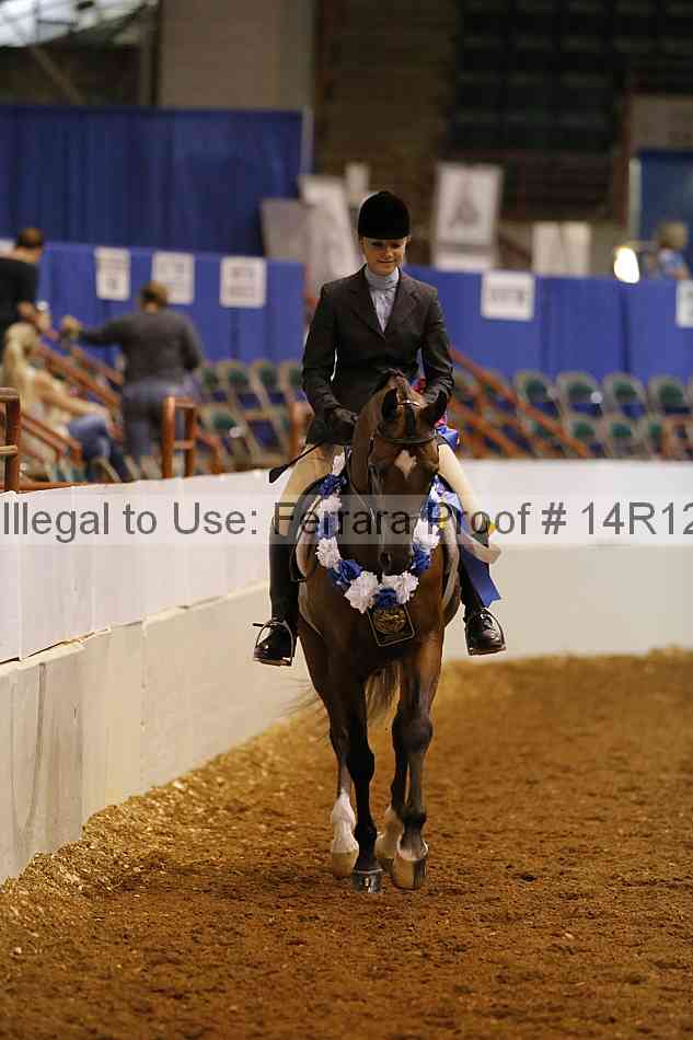 Proof Number 14r12_7377