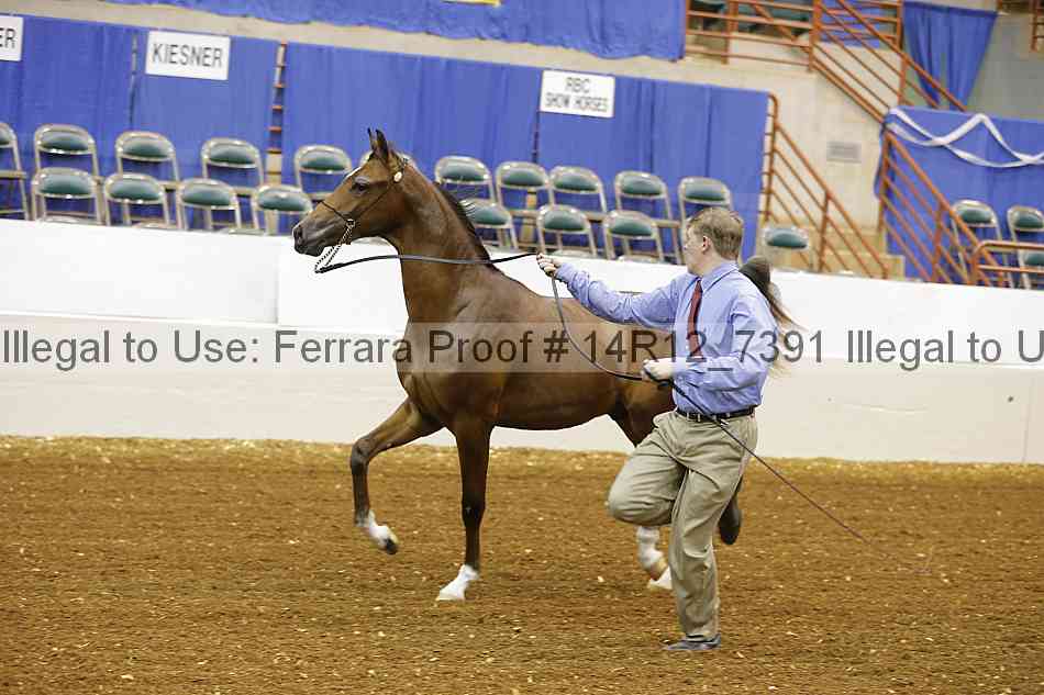 Proof Number 14r12_7391