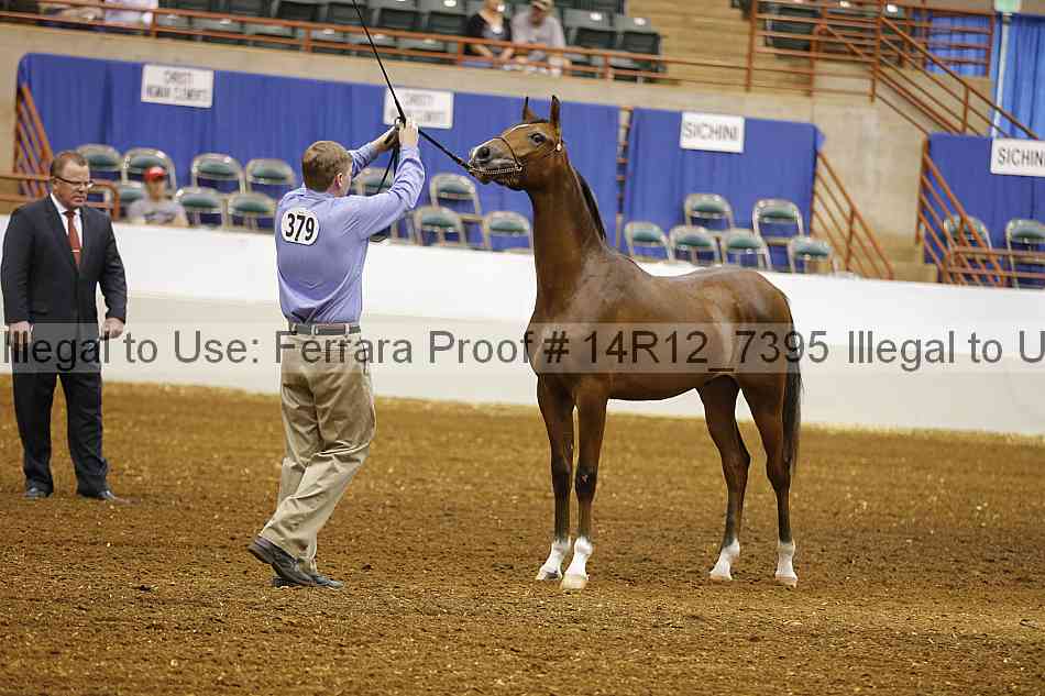 Proof Number 14r12_7395