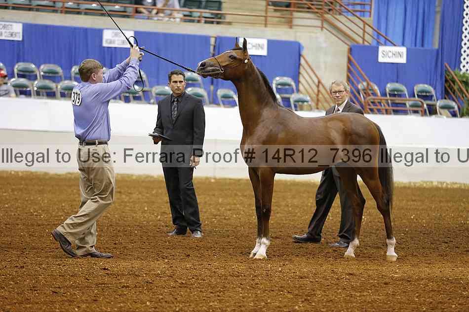 Proof Number 14r12_7396