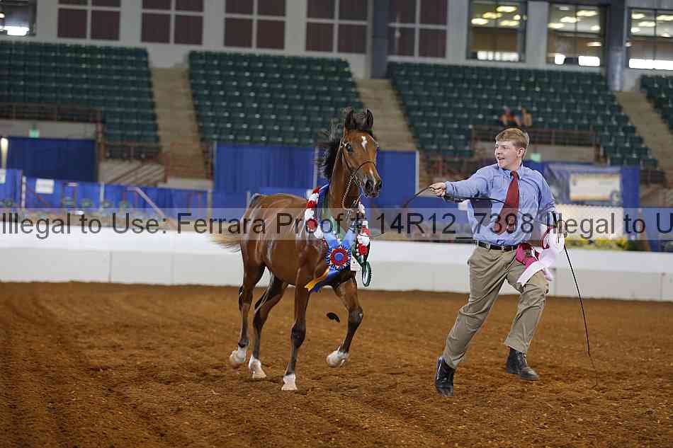 Proof Number 14r12_7398