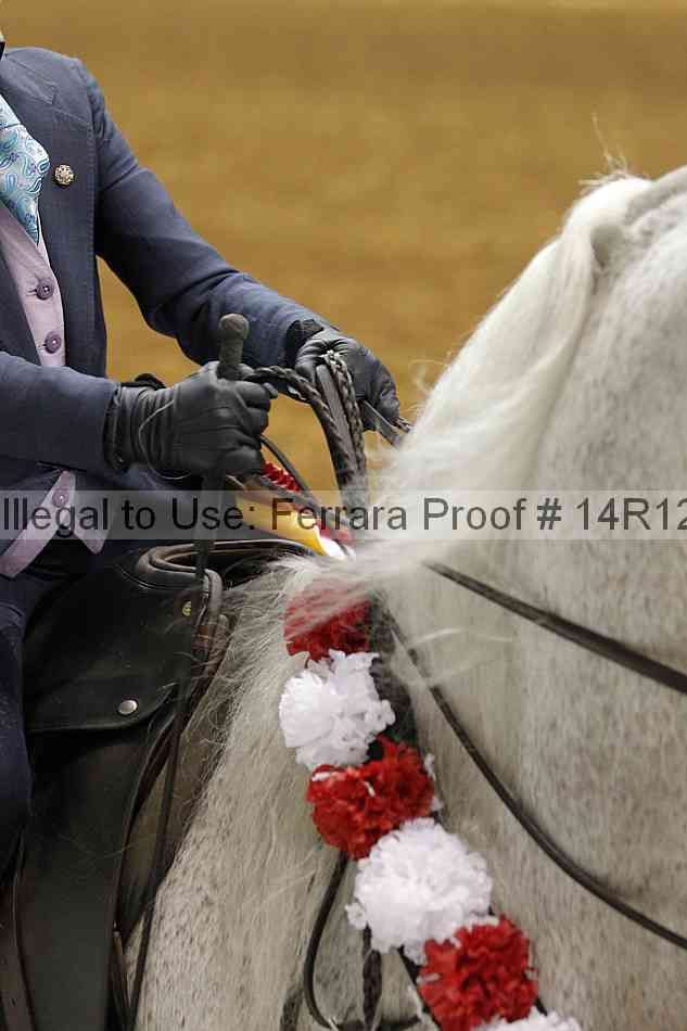 Proof Number 14r12_7414