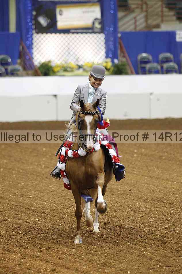 Proof Number 14r12_7440