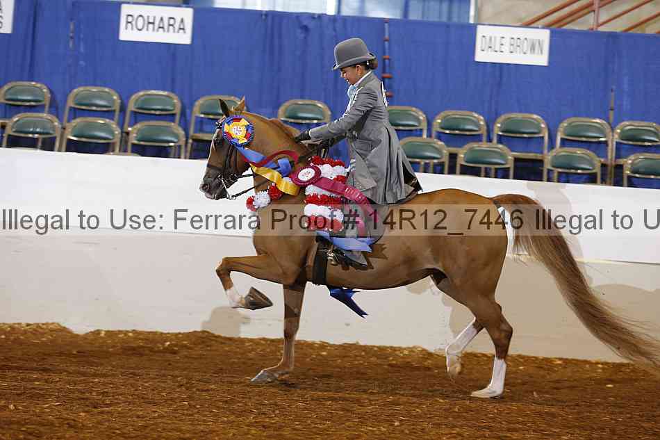 Proof Number 14r12_7446