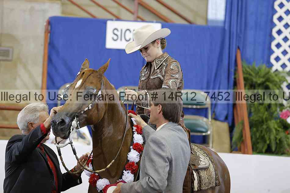 Proof Number 14r12_7452