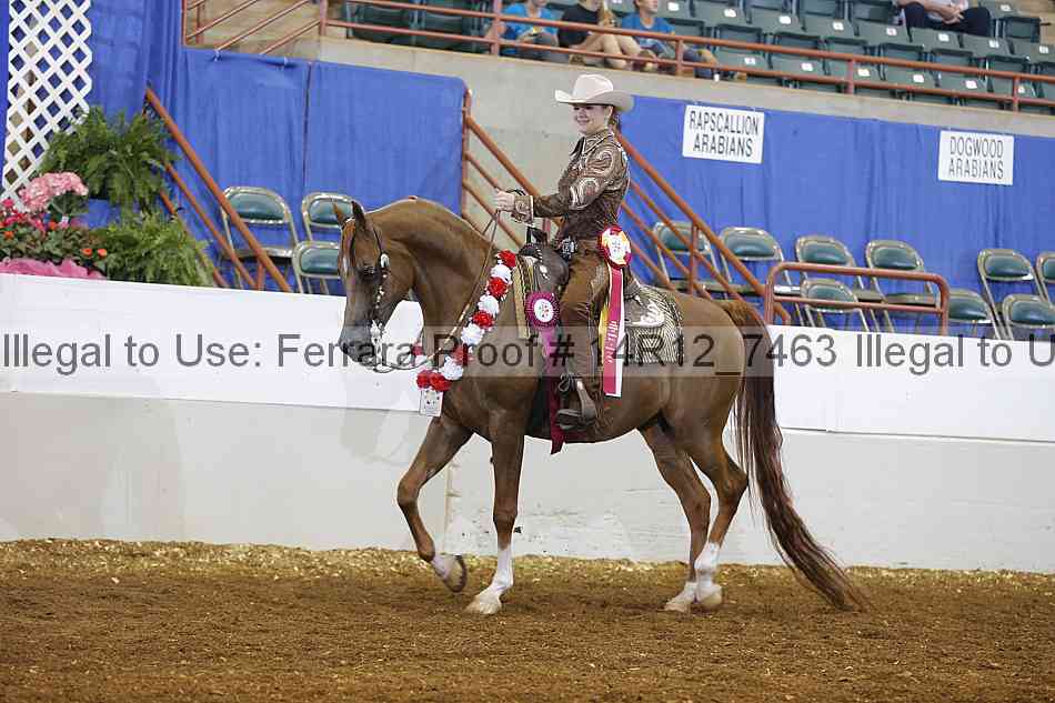 Proof Number 14r12_7463