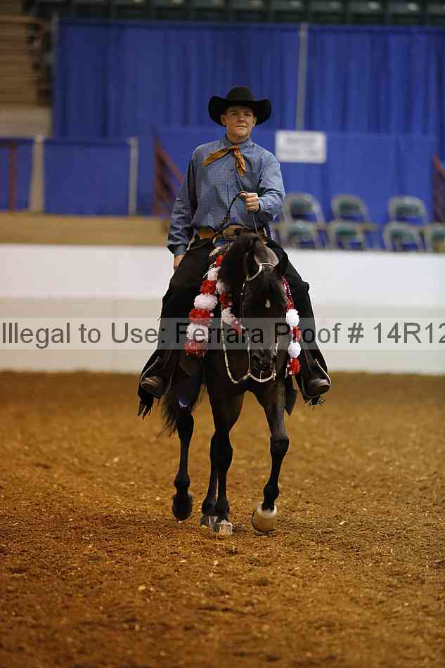 Proof Number 14r12_7475