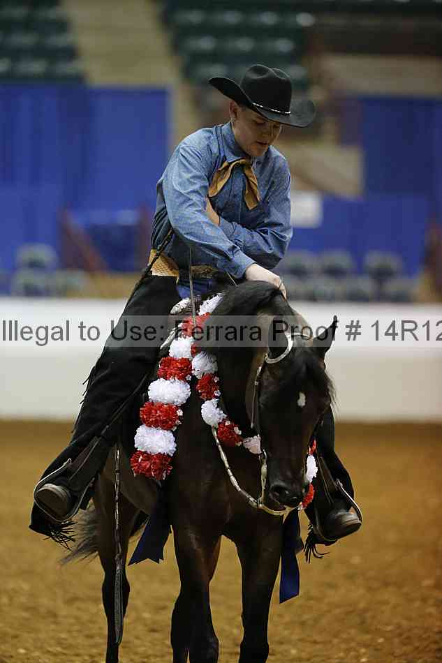 Proof Number 14r12_7477