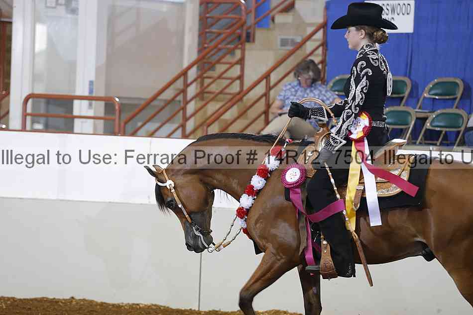 Proof Number 14r12_7504