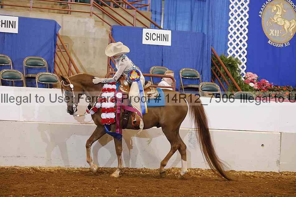 Proof Number 14r12_7506